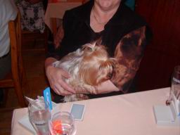 Resize of P1010425.JPG